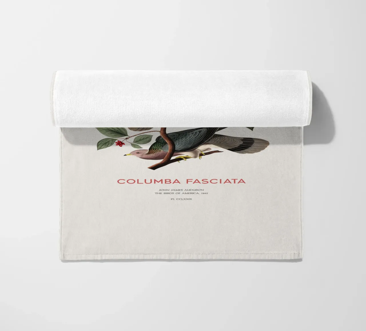 Piccione dalla coda a nastro o Columba fasciata telo mare da Vintagrafica