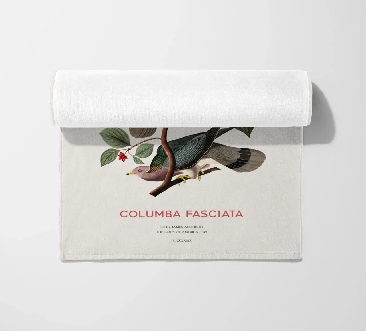 Piccione dalla coda a nastro o Columba fasciata telo mare da Vintagrafica