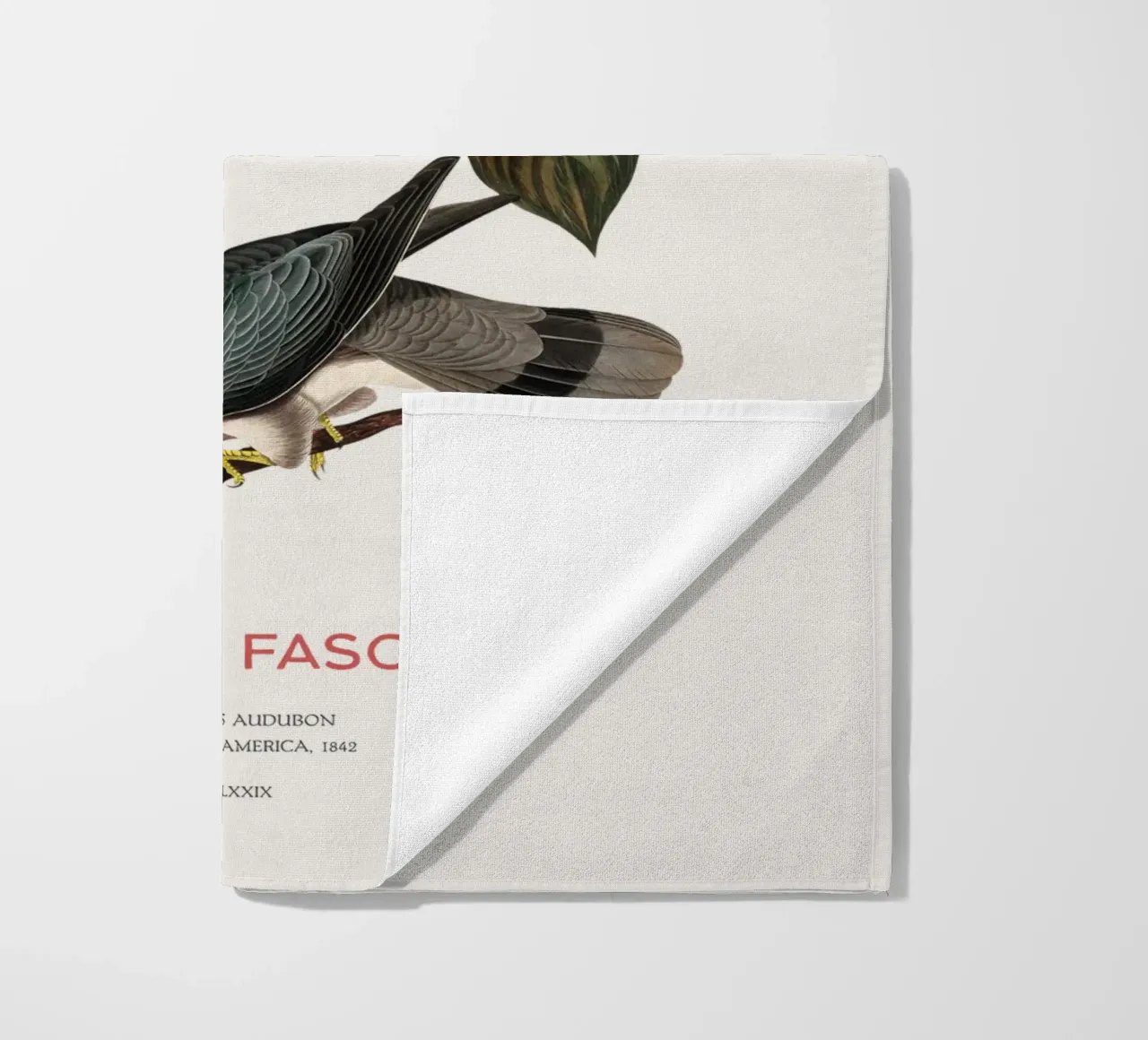 Piccione dalla coda a nastro o Columba fasciata telo mare da Vintagrafica