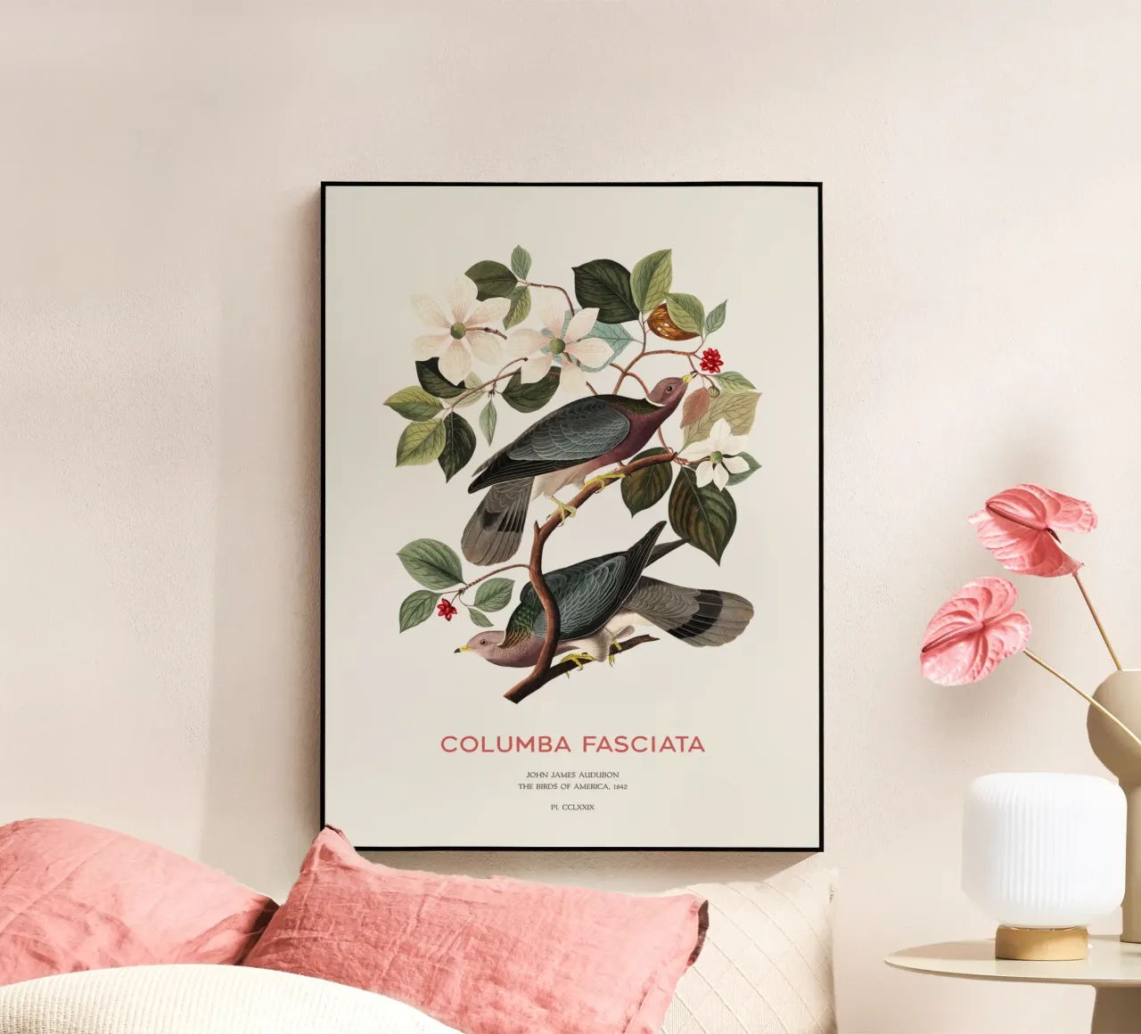 Piccione dalla coda a nastro o Columba fasciata plexiglass da Vintagrafica