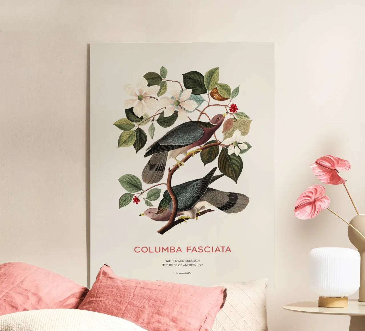 Piccione dalla coda a nastro o Columba fasciata plexiglass da Vintagrafica