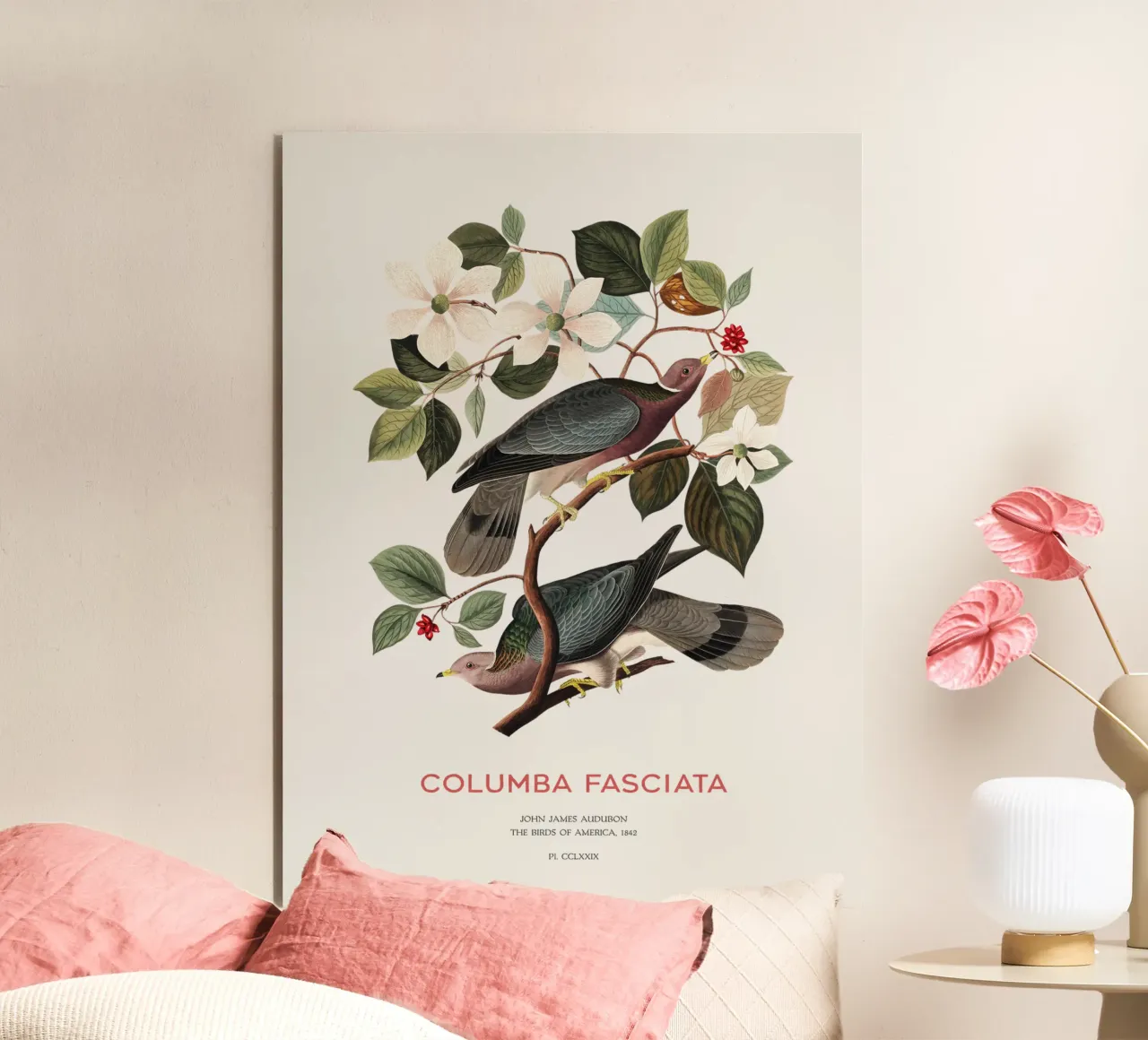 Piccione dalla coda a nastro o Columba fasciata alluminio dibond da Vintagrafica