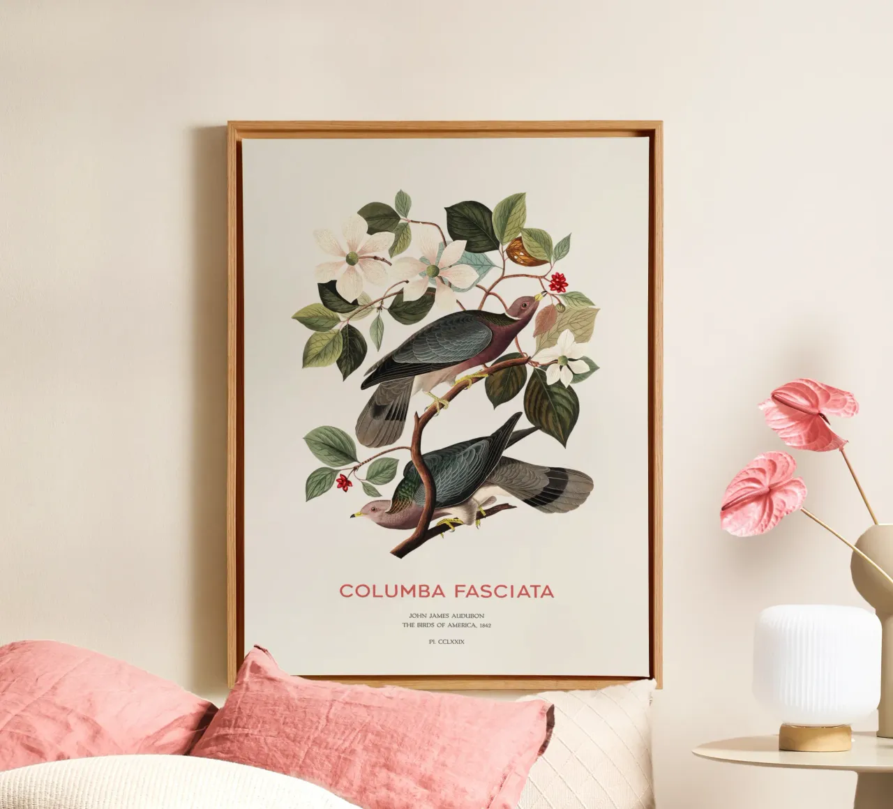 Piccione dalla coda a nastro o Columba fasciata tela da Vintagrafica