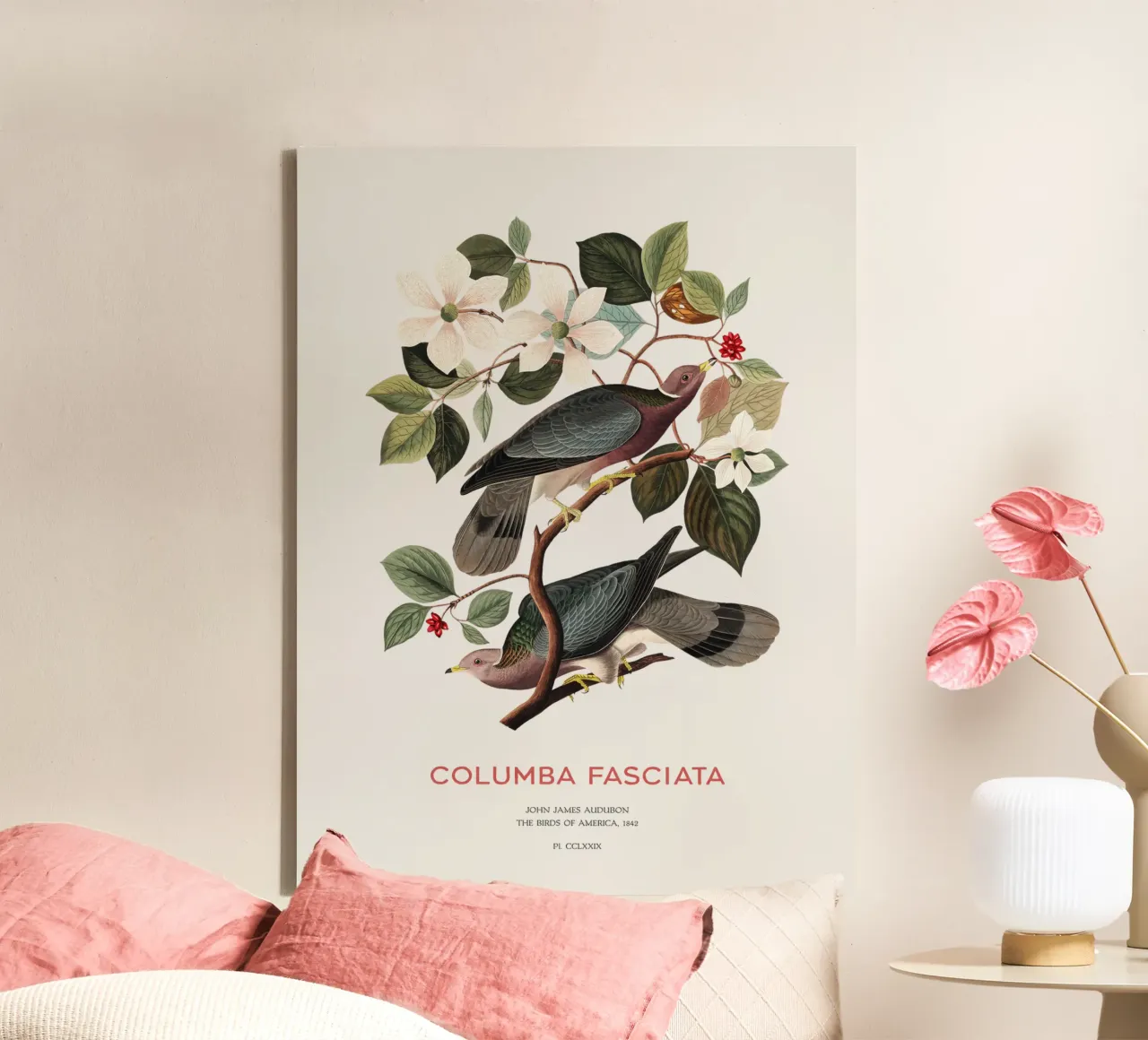 Piccione dalla coda a nastro o Columba fasciata tela da Vintagrafica