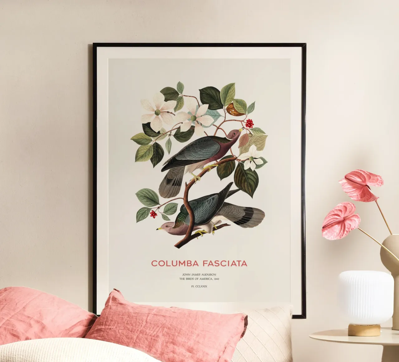 Piccione dalla coda a nastro o Columba fasciata poster da Vintagrafica