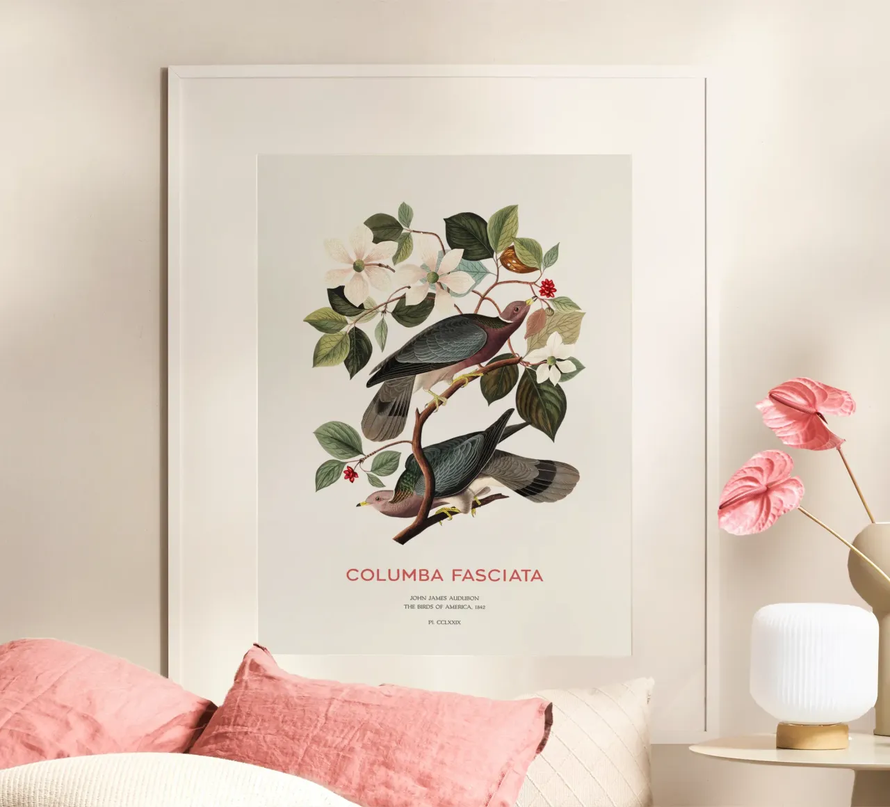 Piccione dalla coda a nastro o Columba fasciata carta hahnemühle da Vintagrafica