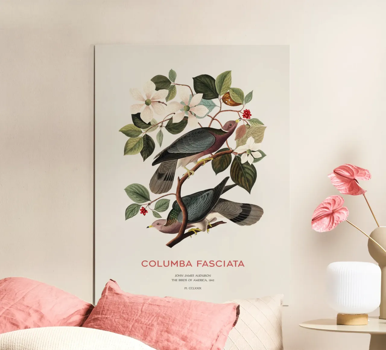 Piccione dalla coda a nastro o Columba fasciata carta hahnemühle da Vintagrafica