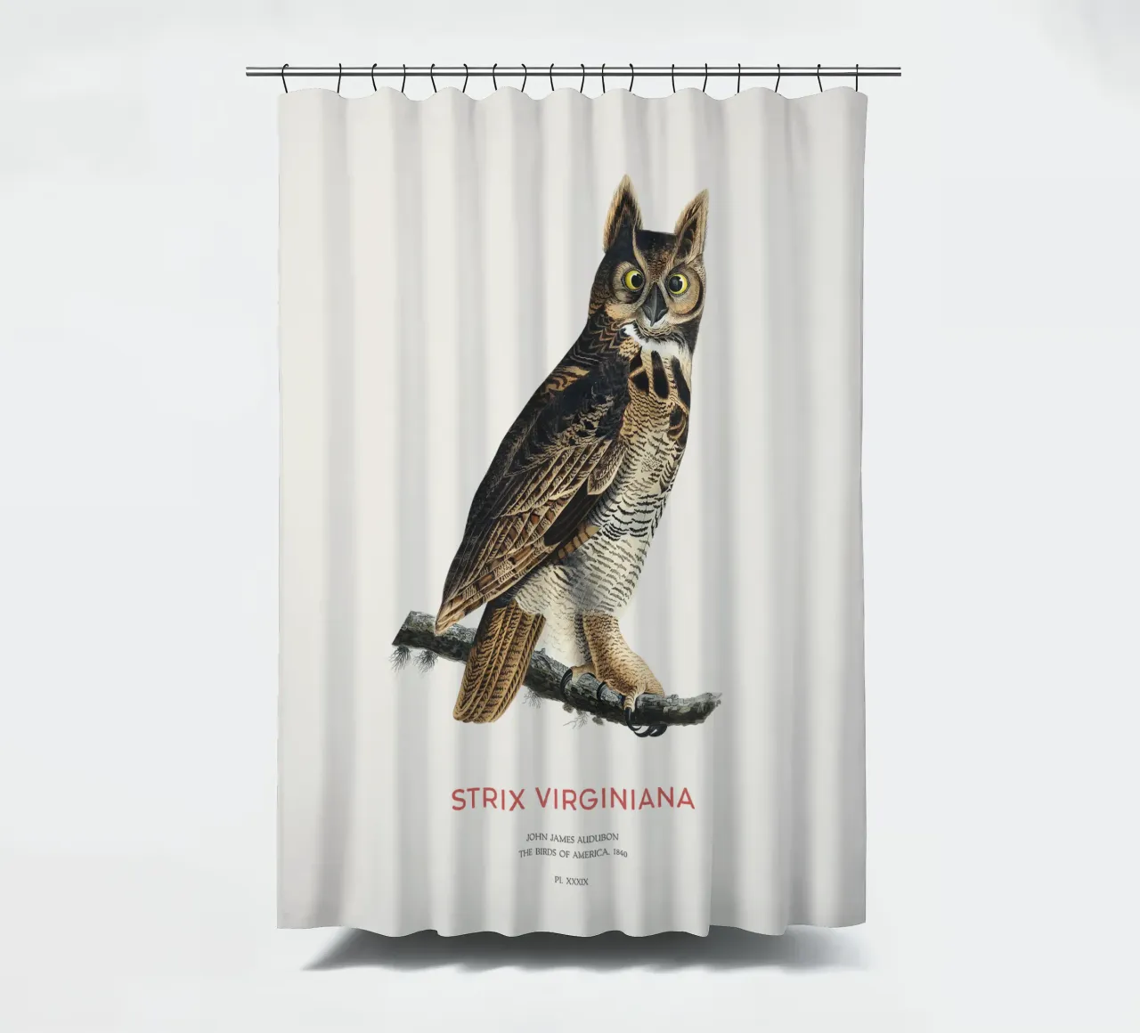 Great horned owl or Strix virginiana shower curtain by Vintagrafica