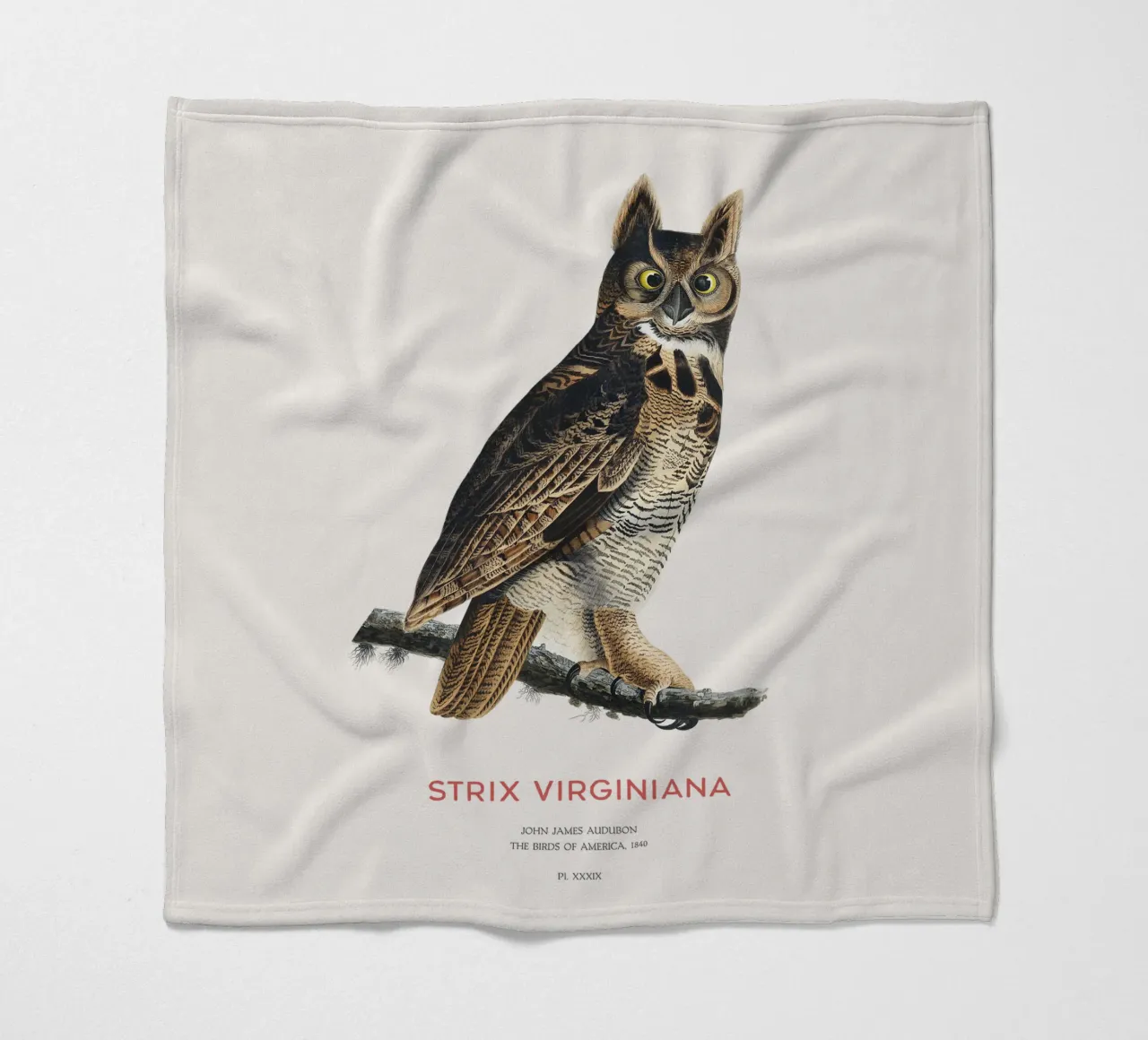 Civetta capogrosso o Strix virginiana coperta in pile da Vintagrafica
