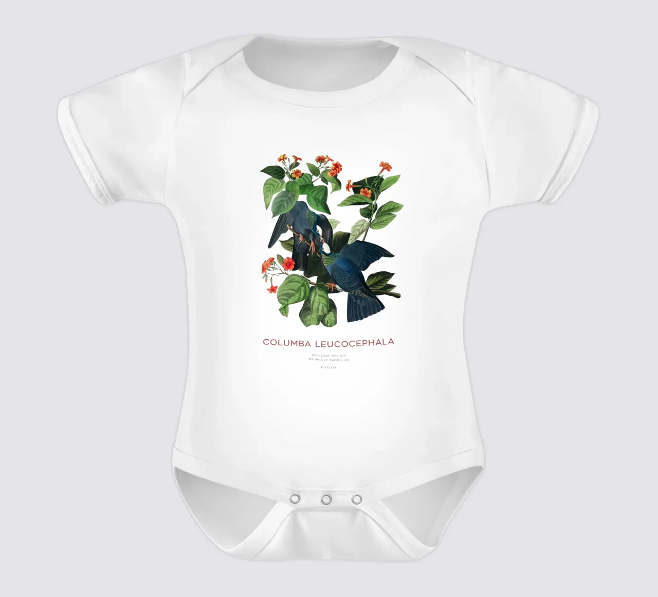 Weißscheiteltaube oder Columba leucocephala Kurzarm Babybody von Vintagrafica