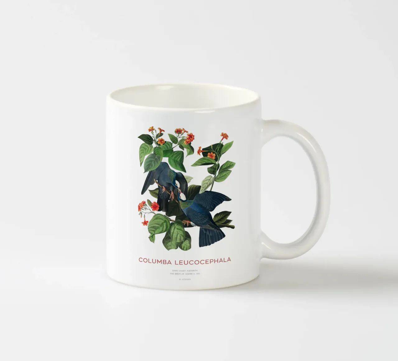 Weißscheiteltaube oder Columba leucocephala Keramik Tasse von Vintagrafica