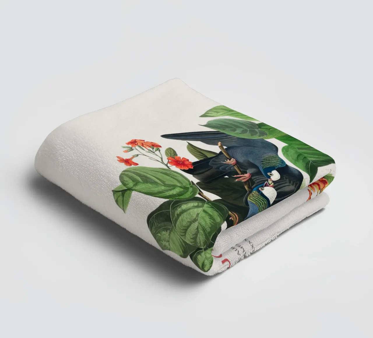 Weißscheiteltaube oder Columba leucocephala Handtuch von Vintagrafica