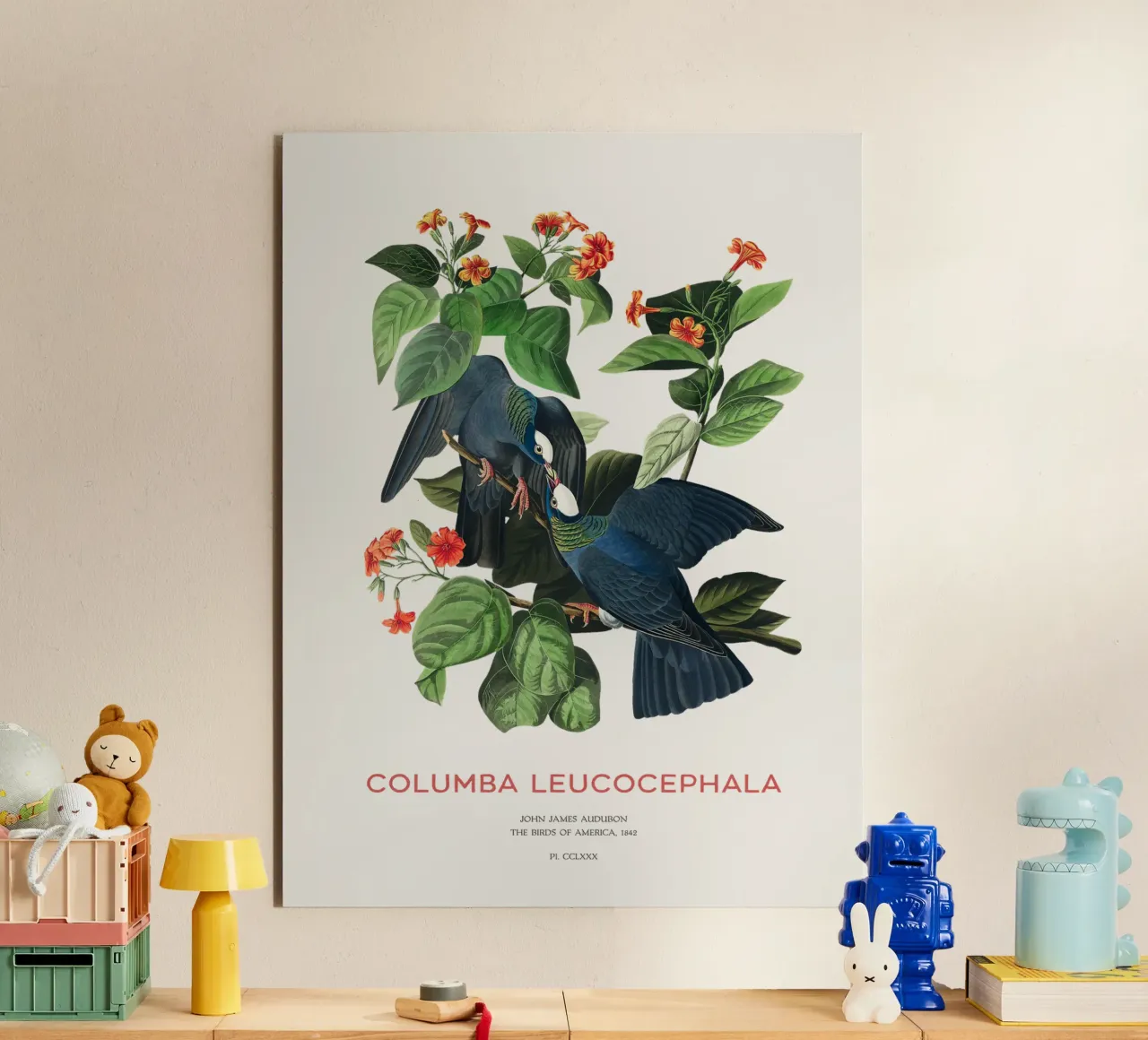 Weißscheiteltaube oder Columba leucocephala Alu-Dibond von Vintagrafica