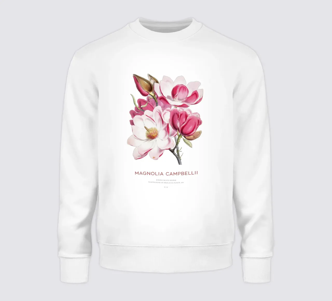 Fiore di magnolia di Campbell o Magnolia campbellii felpa da Vintagrafica