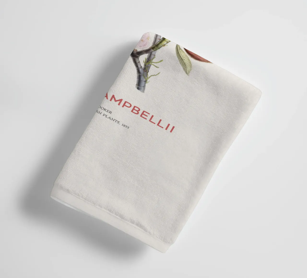 Campbellsche Magnolienblüte oder Magnolia campbellii Handtuch von Vintagrafica