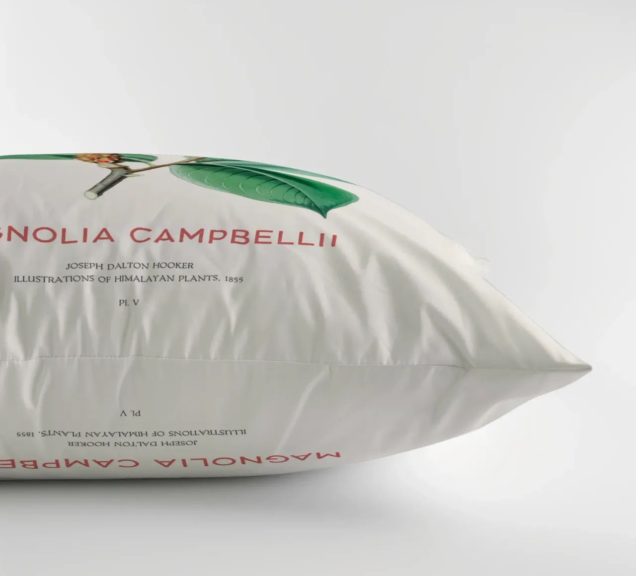 Magnolia campbellii albero deciduo o magnolia di Campbell cuscino da Vintagrafica