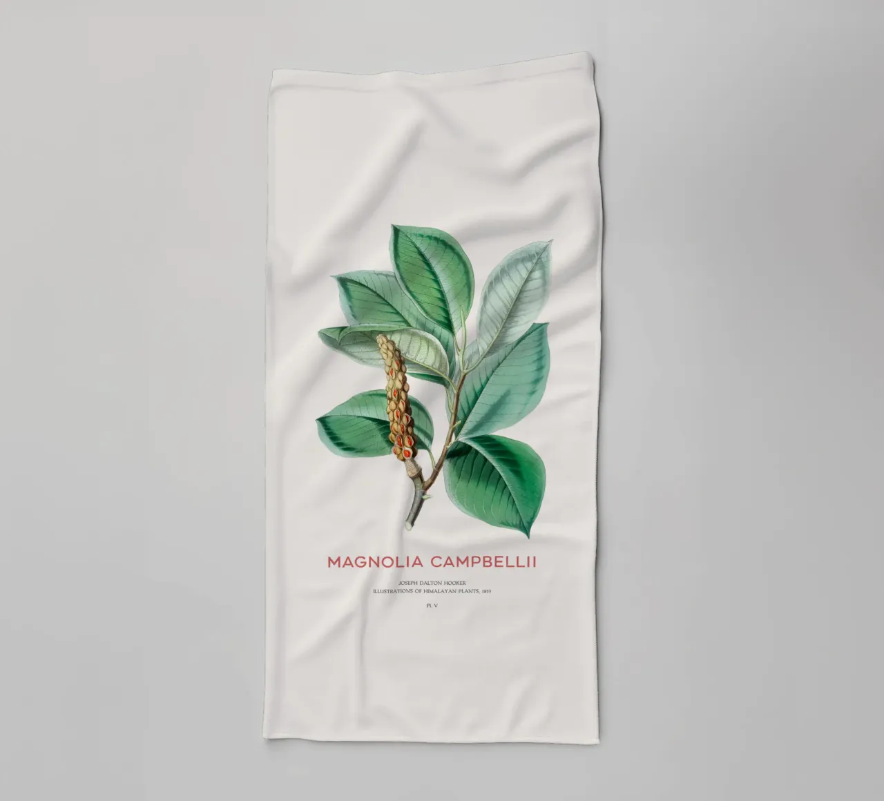 Magnolia campbellii Laubbaum oder Campbell's Magnolia Handtuch von Vintagrafica