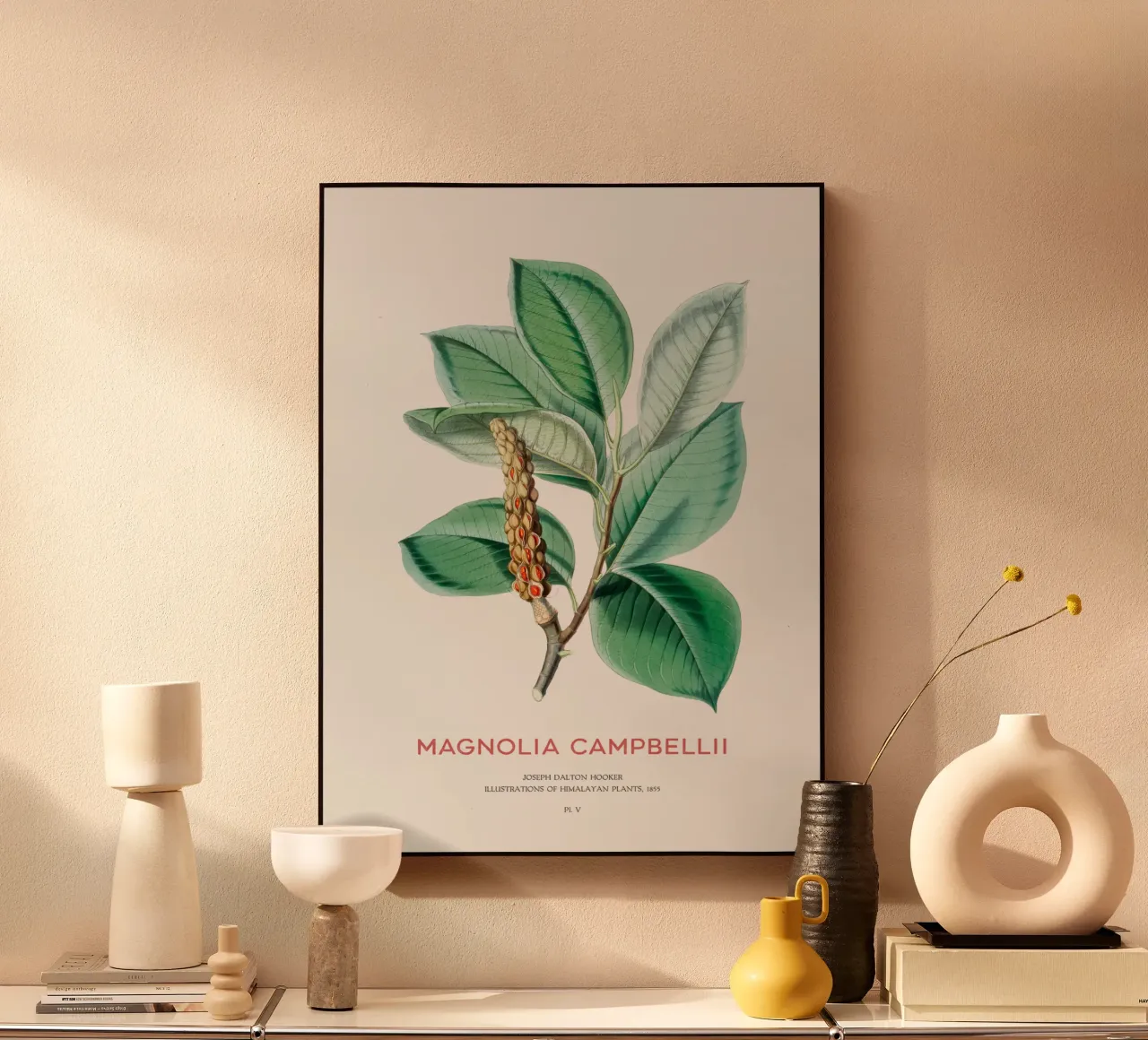 Magnolia campbellii albero deciduo o magnolia di Campbell plexiglass da Vintagrafica