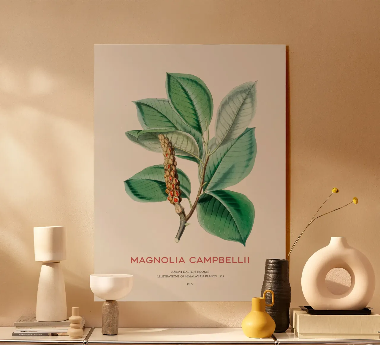 Magnolia campbellii albero deciduo o magnolia di Campbell plexiglass da Vintagrafica