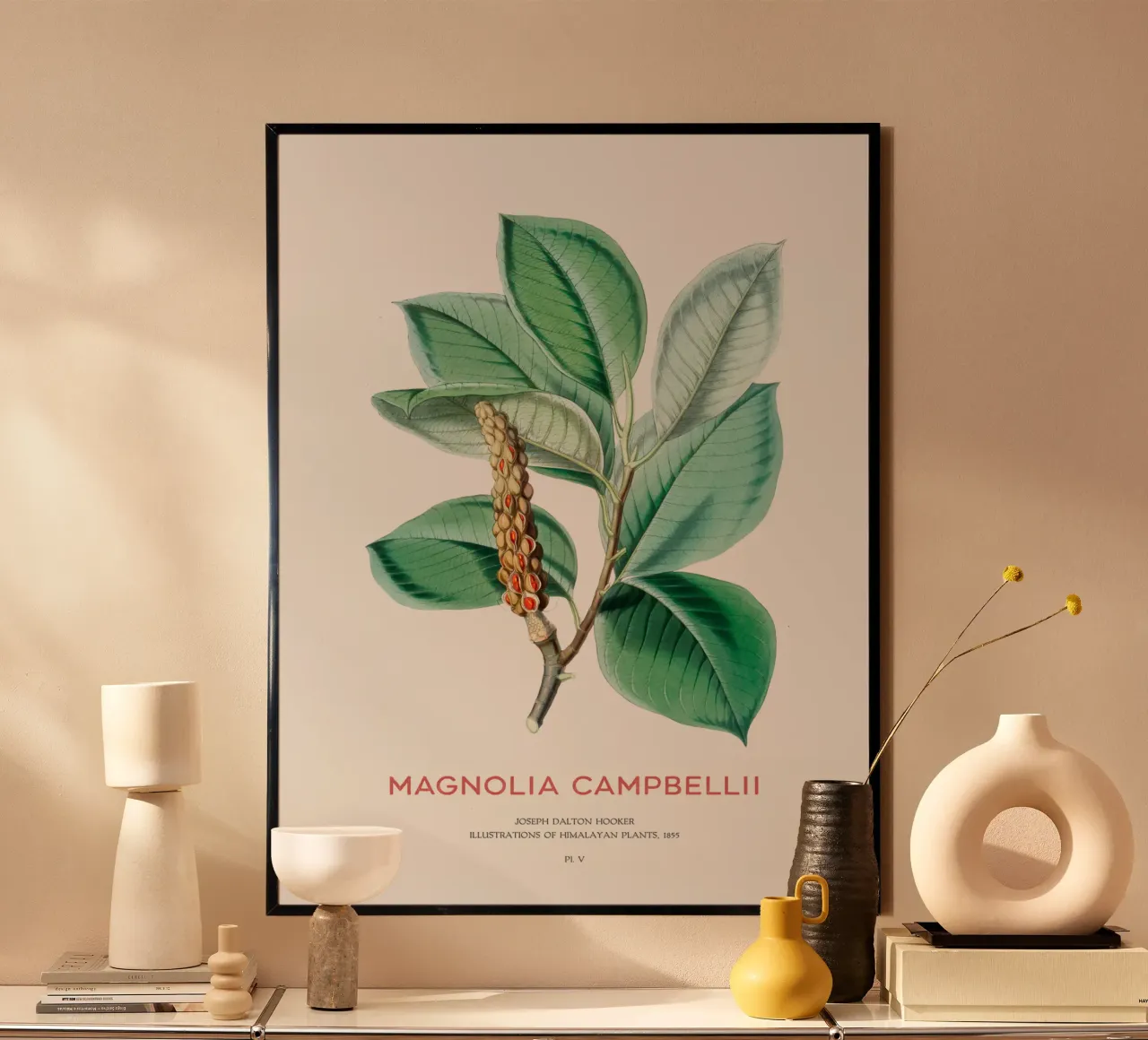 Magnolia campbellii Laubbaum oder Campbell's Magnolia Hahnemühle von Vintagrafica