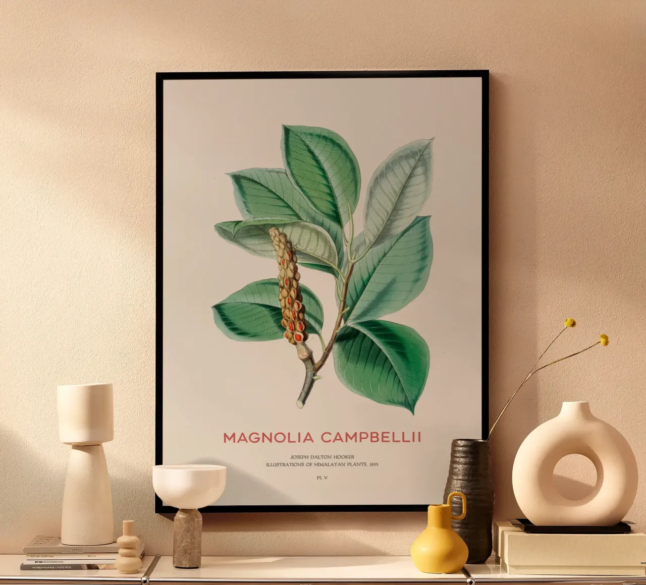 Magnolia campbellii Laubbaum oder Campbell's Magnolia Hahnemühle von Vintagrafica