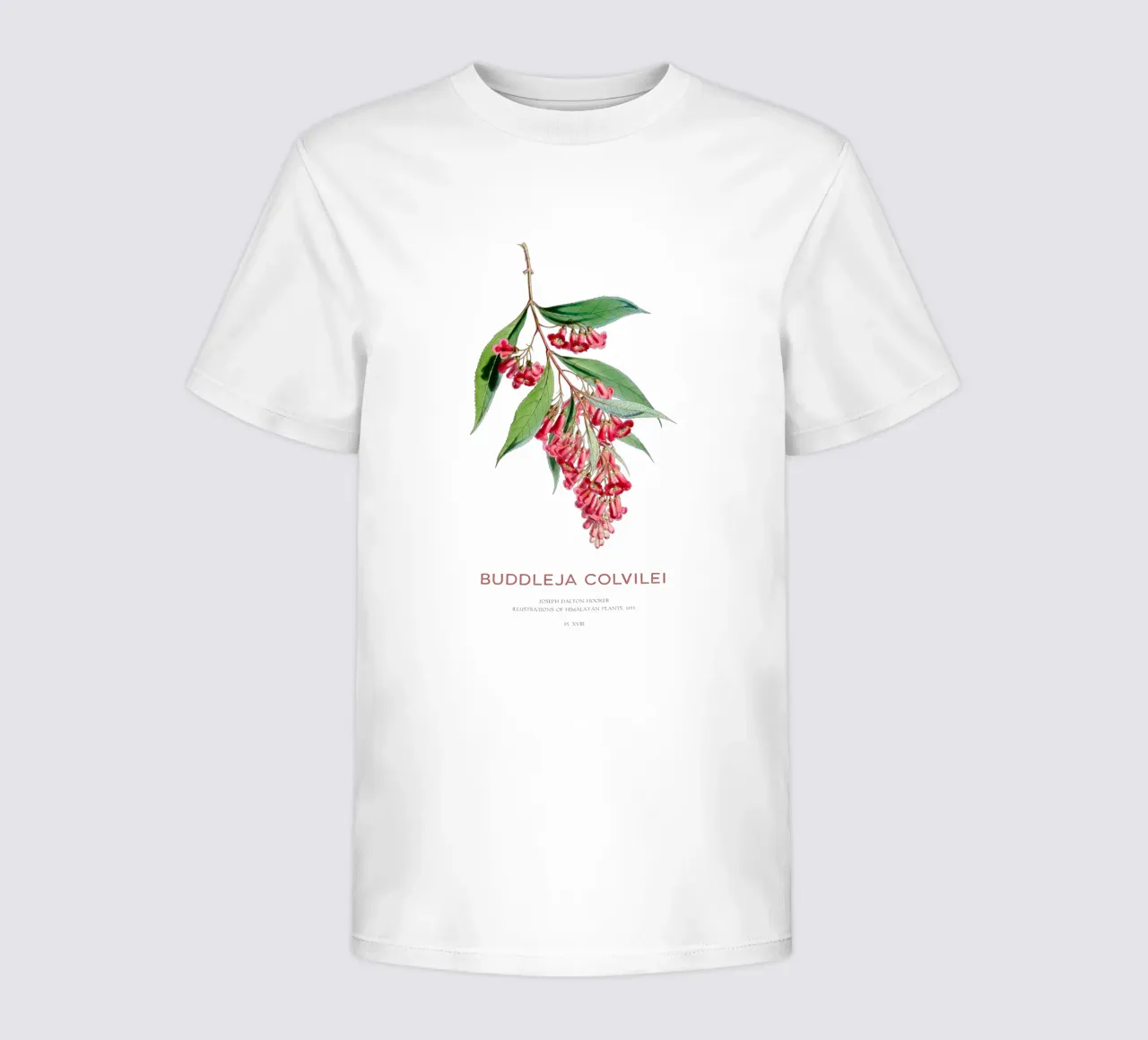 Summer lilac or Buddleja colvilei kids t-shirt by Vintagrafica