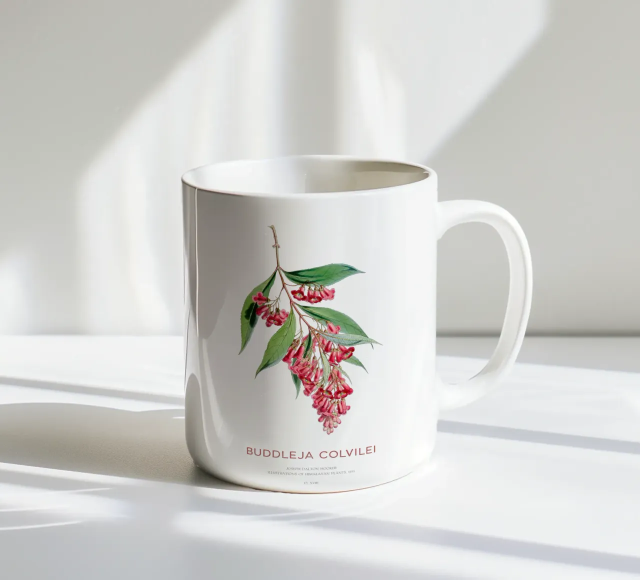 Sommerflieder oder Buddleja colvilei Keramik Tasse von Vintagrafica