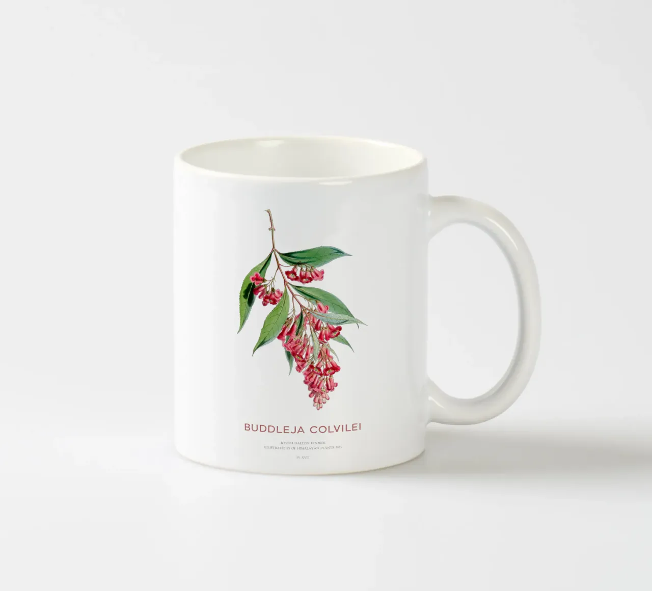 Sommerflieder oder Buddleja colvilei Keramik Tasse von Vintagrafica