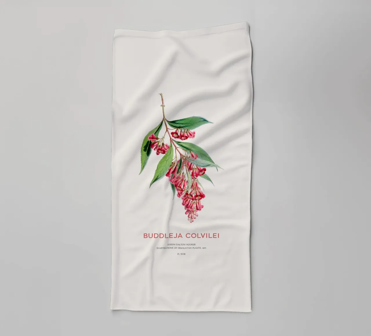 Sommerflieder oder Buddleja colvilei Handtuch von Vintagrafica