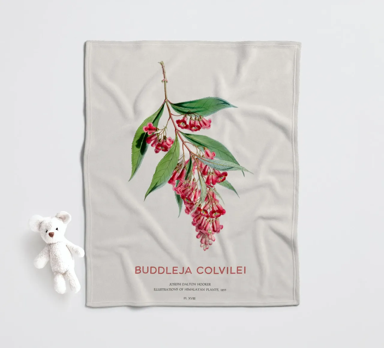 Sommerflieder oder Buddleja colvilei Fleecedecke von Vintagrafica