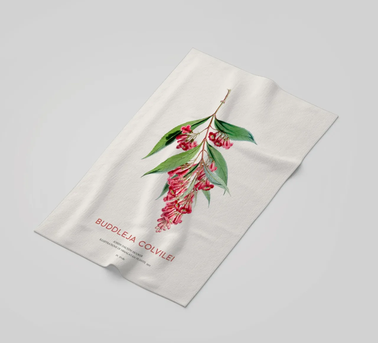 Summer lilac or Buddleja colvilei beach towel by Vintagrafica
