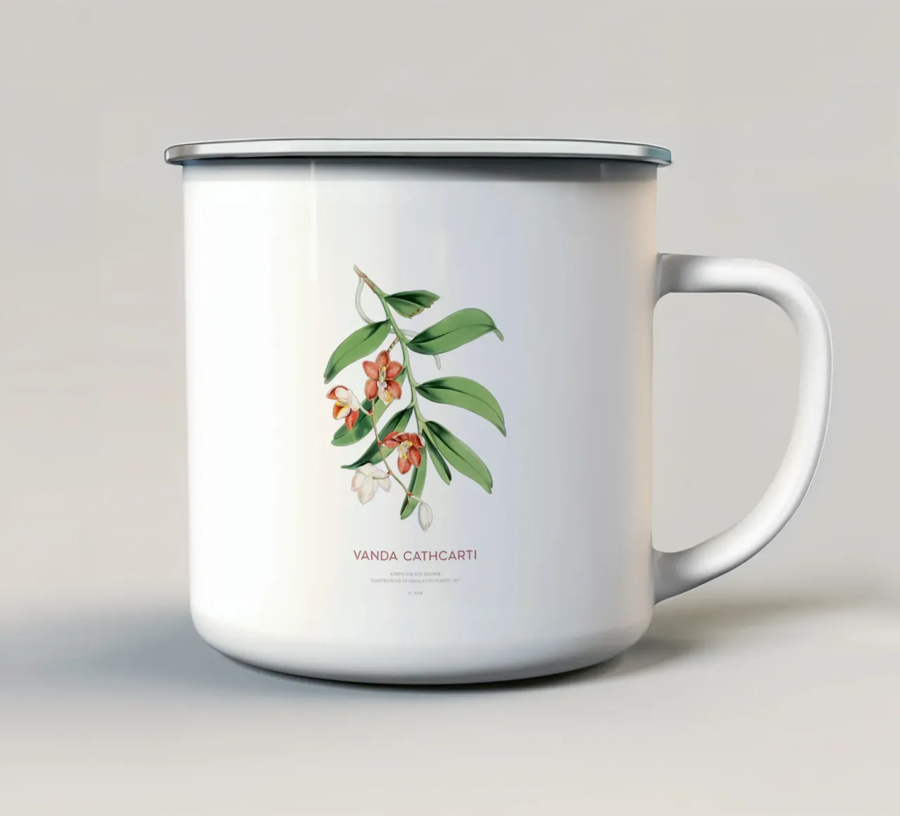 Pianta di Esmeralda o Vanda Cathcarti tazza in smalto da Vintagrafica
