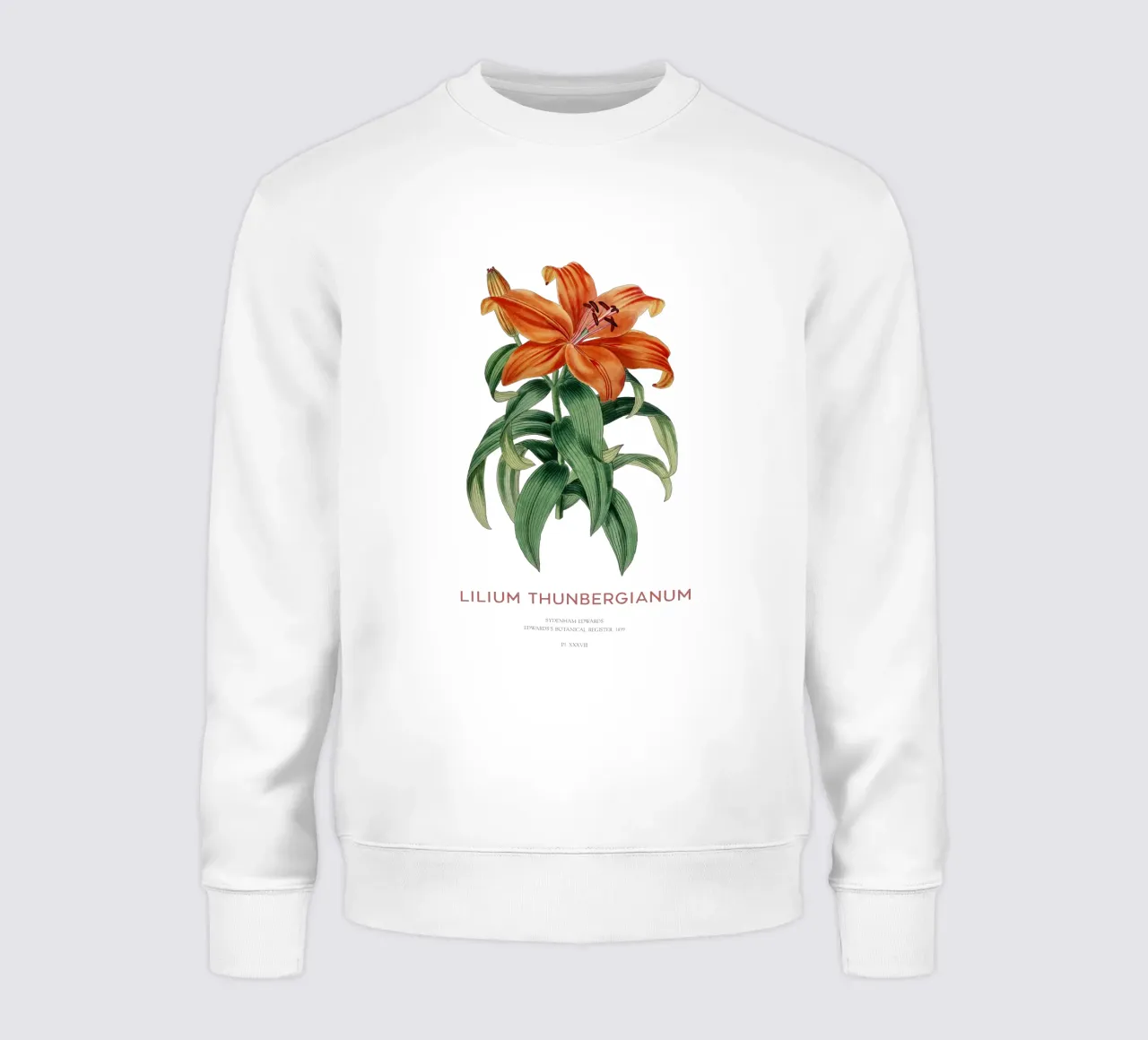 Giglio trasparente o Lilium thunbergianum felpa da Vintagrafica