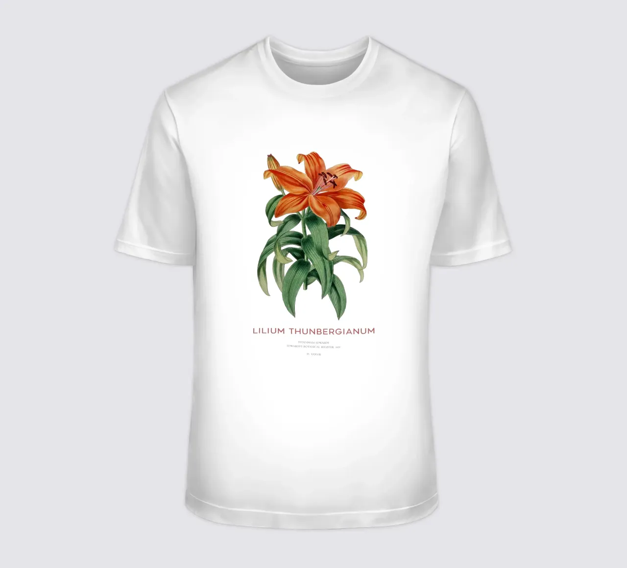 Giglio trasparente o Lilium thunbergianum t-shirt da Vintagrafica
