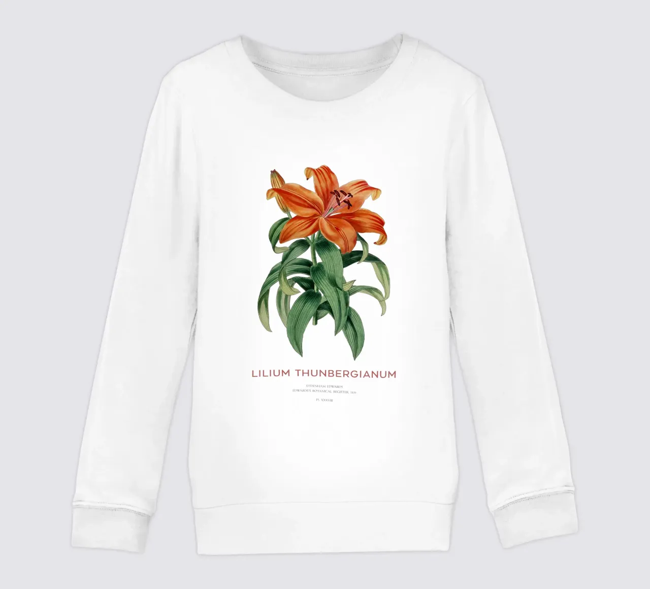 Giglio trasparente o Lilium thunbergianum felpa bambino da Vintagrafica