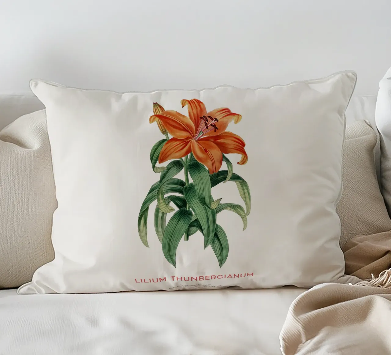 Giglio trasparente o Lilium thunbergianum cuscino da Vintagrafica