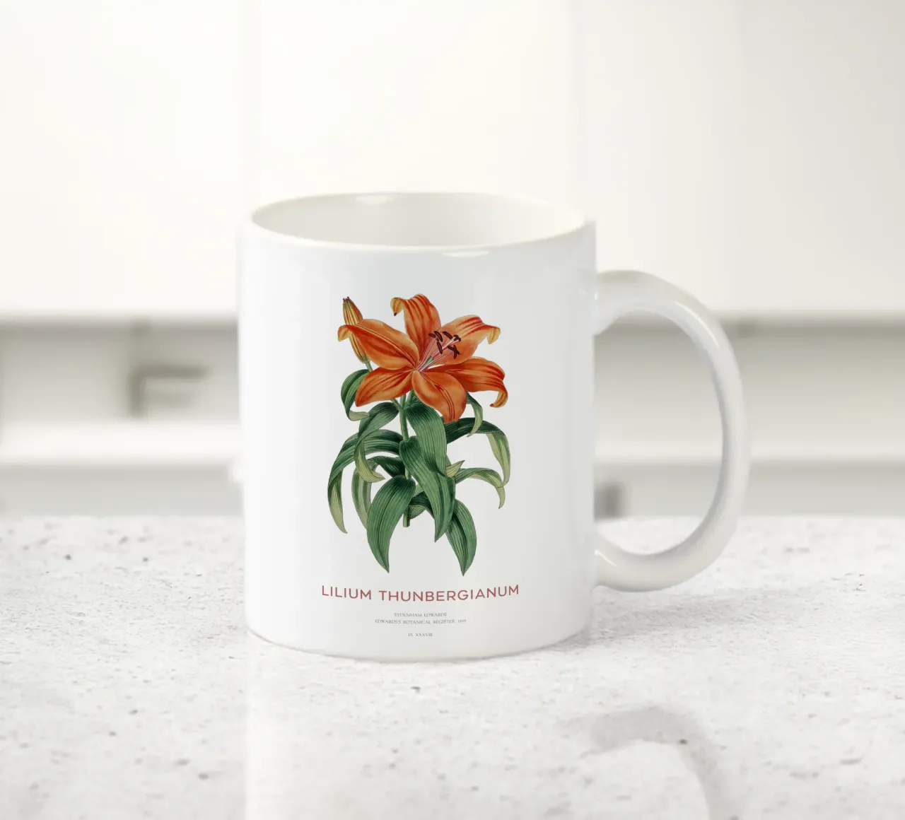 Giglio trasparente o Lilium thunbergianum tazza in ceramica da Vintagrafica