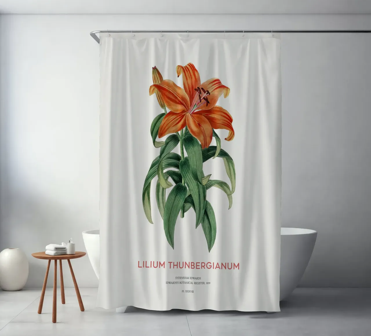 Giglio trasparente o Lilium thunbergianum tenda da doccia da Vintagrafica