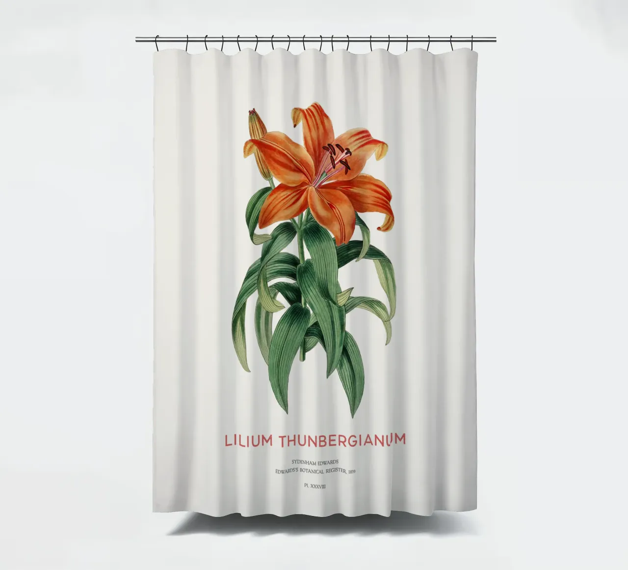 Giglio trasparente o Lilium thunbergianum tenda da doccia da Vintagrafica