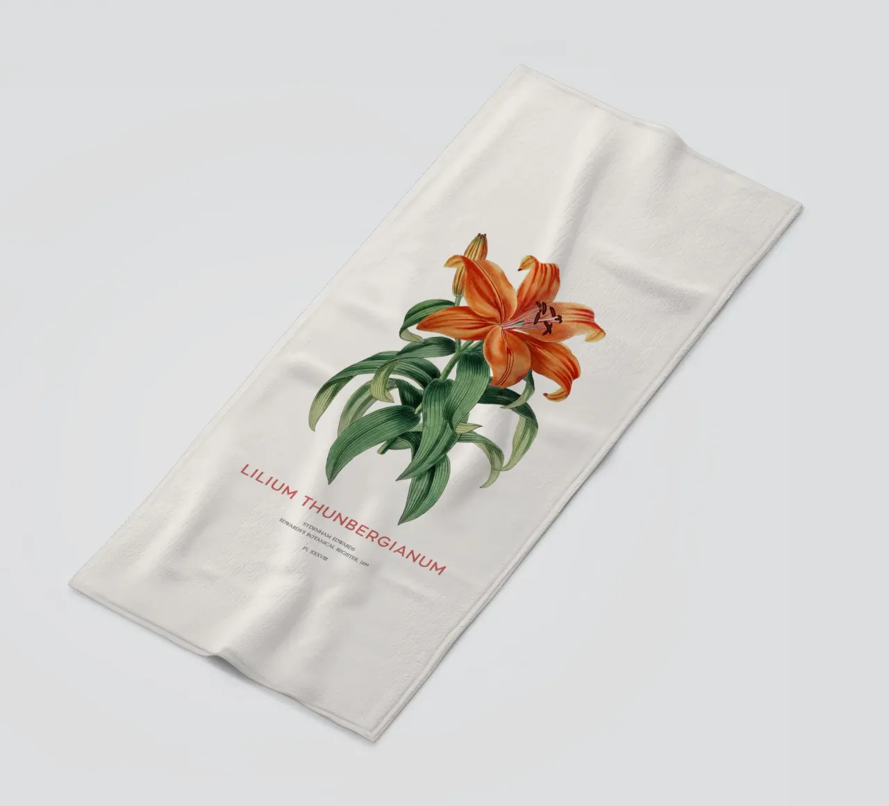 Giglio trasparente o Lilium thunbergianum telo mare da Vintagrafica