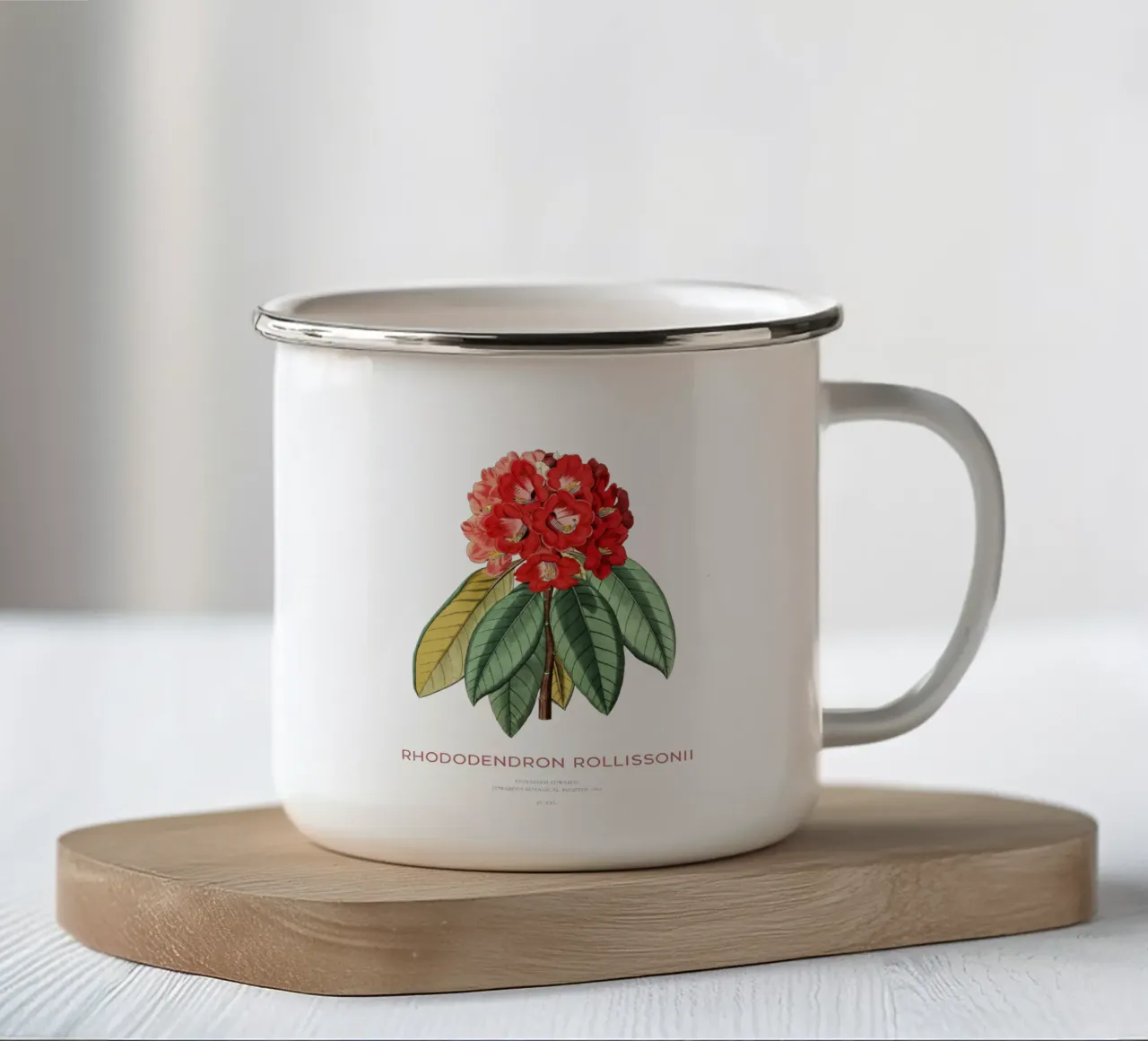 Baum-Rhododendron oder Rhododendron rollissonii Emaille Tasse von Vintagrafica