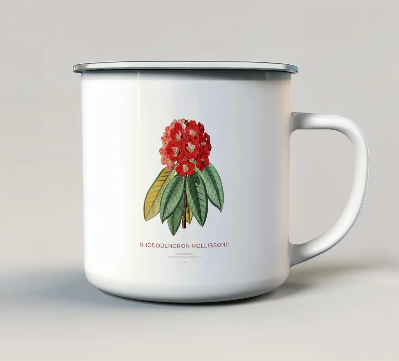 Baum-Rhododendron oder Rhododendron rollissonii Emaille Tasse von Vintagrafica