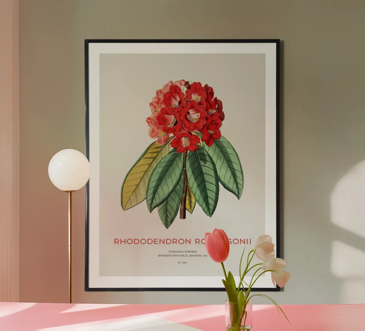 Baum-Rhododendron oder Rhododendron rollissonii Hahnemühle von Vintagrafica