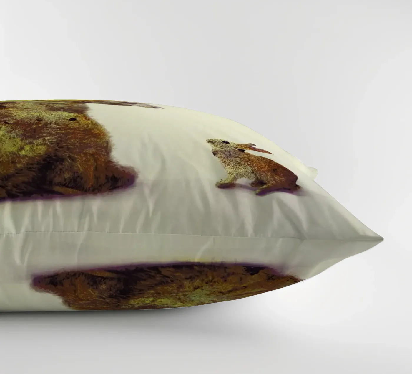 Spring coussin de Dániel Taylor