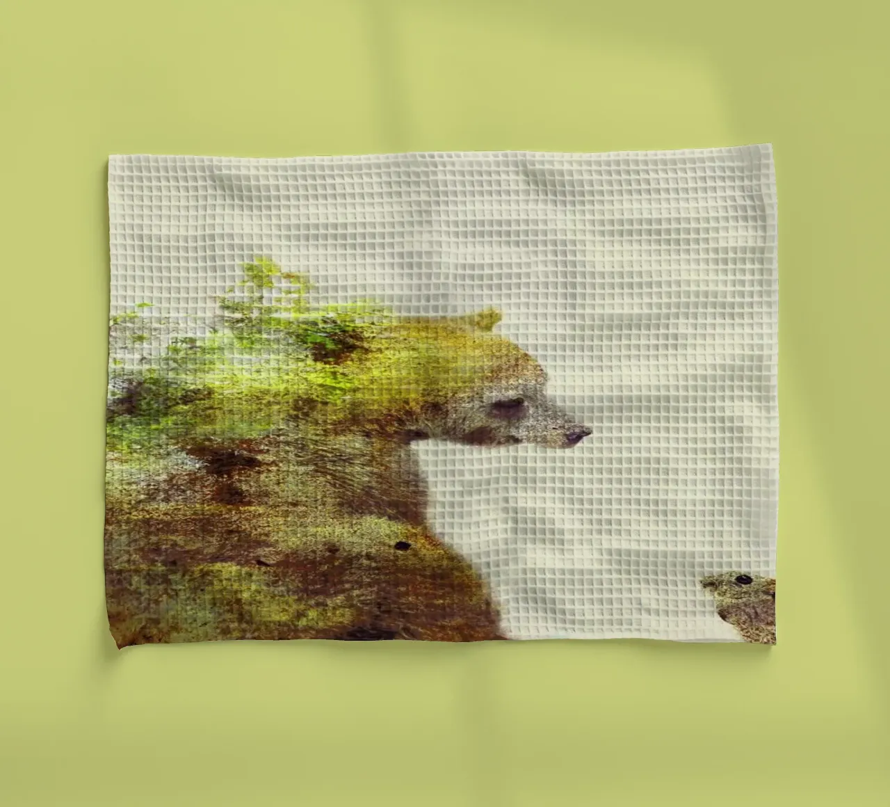 Spring torchon de Dániel Taylor