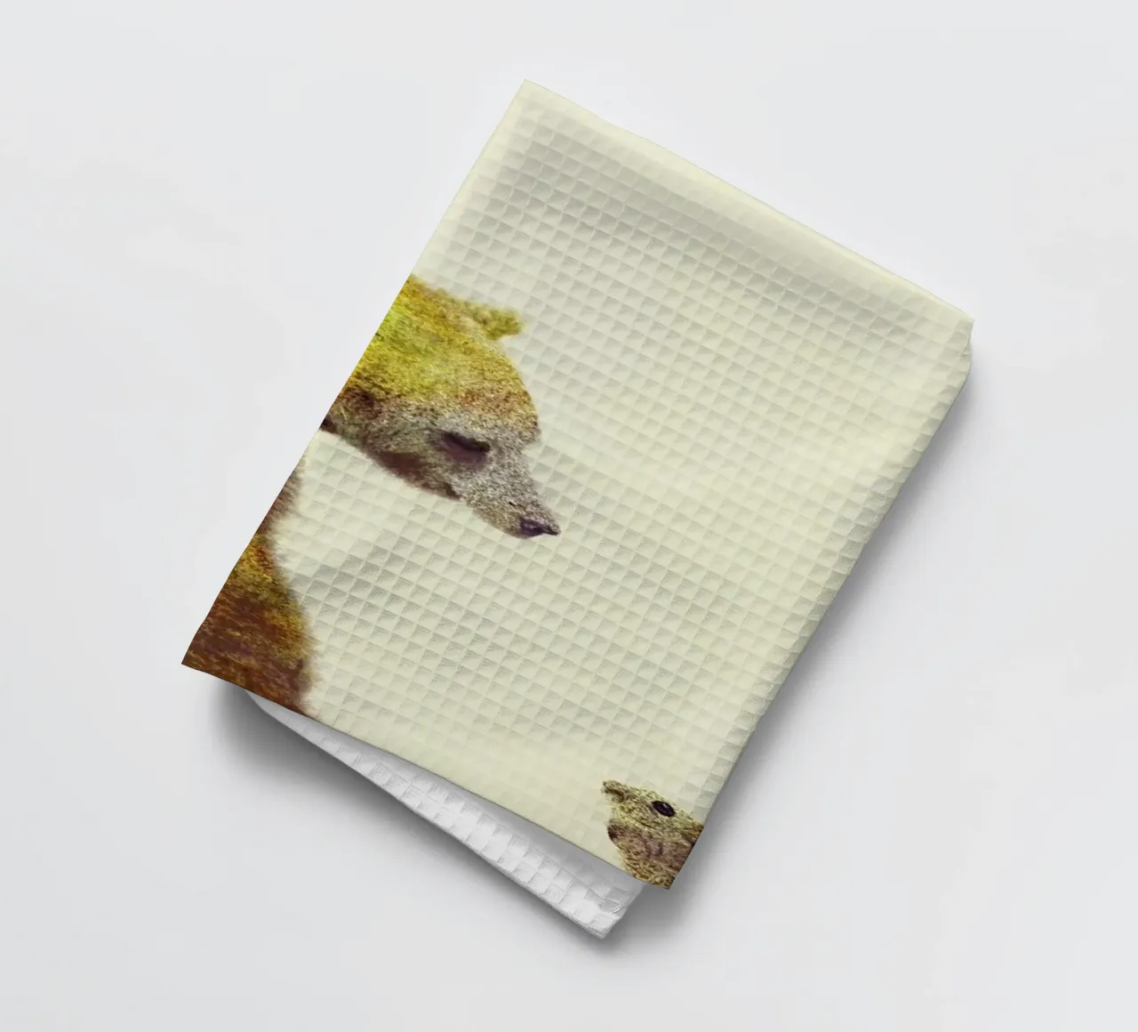 Spring torchon de Dániel Taylor