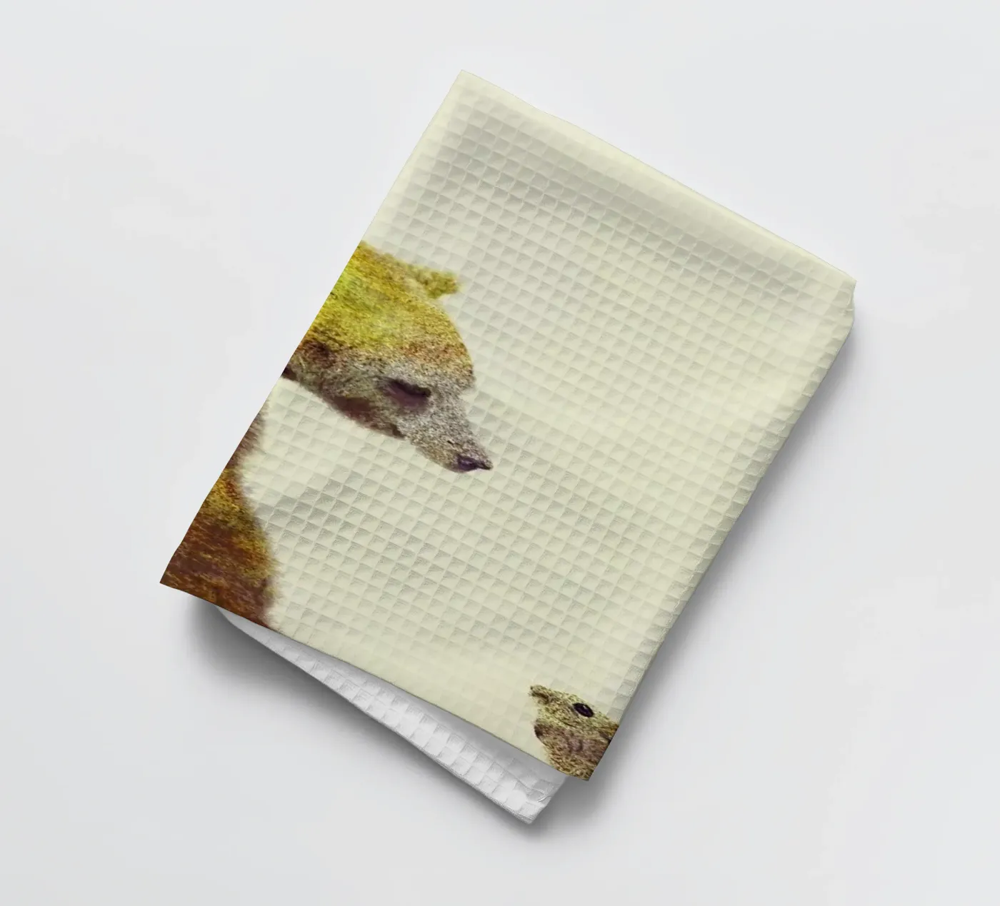 Spring Geschirrtuch von Dániel Taylor