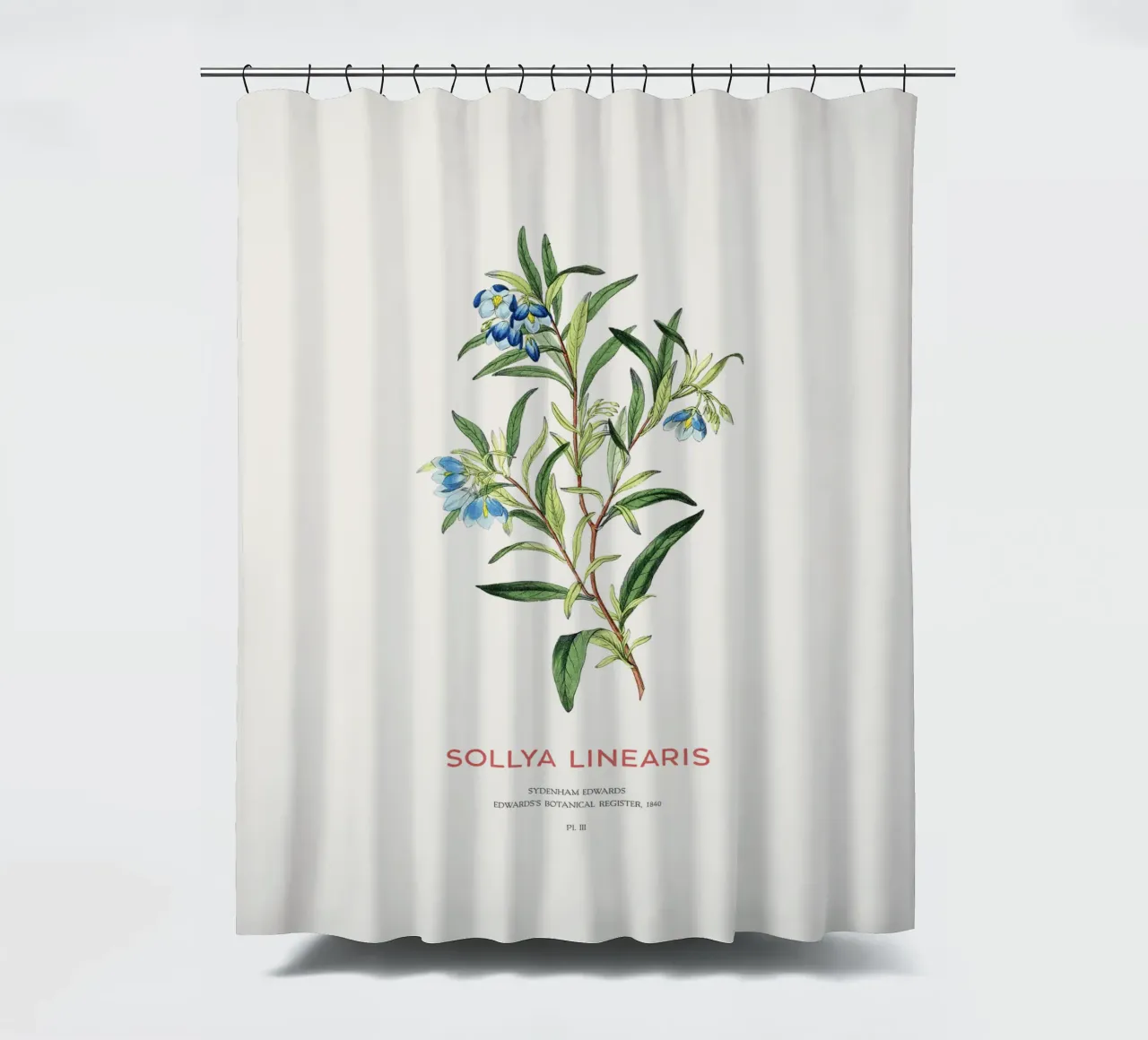 Australian bluebell or Sollya linearis shower curtain by Vintagrafica