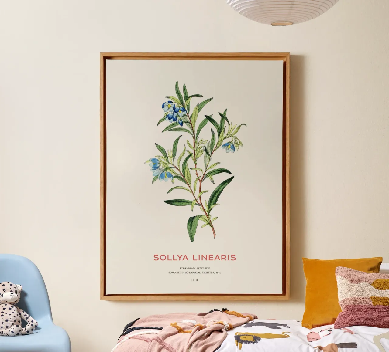 Campanula australiana o Sollya linearis tela con Cornice a cassetta da Vintagrafica