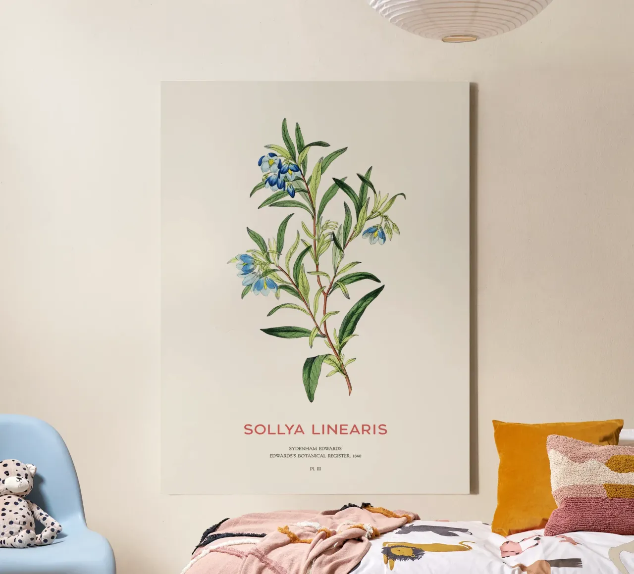 Campanula australiana o Sollya linearis tela con Cornice a cassetta da Vintagrafica